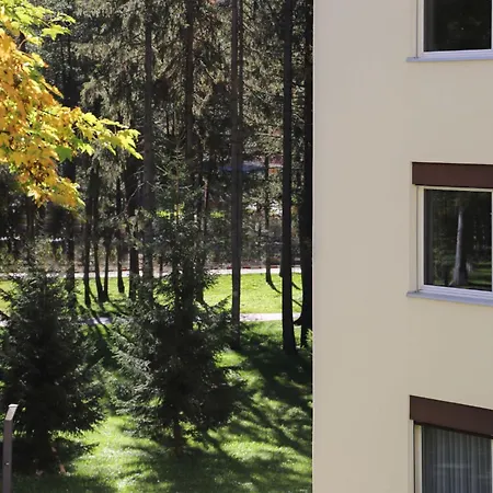 Allod Park Haus C 404 By Interhome Apartment Davos