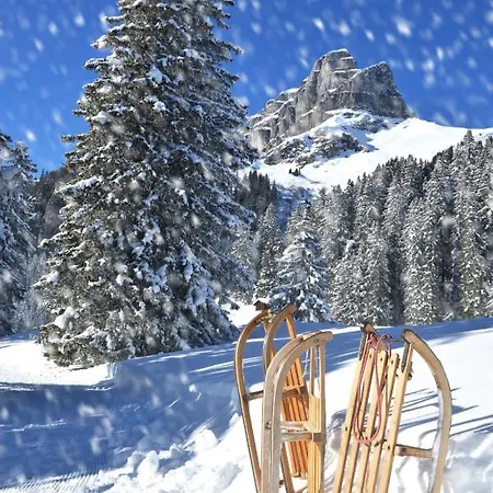 Allod Park Haus C 404 By Interhome 达沃斯